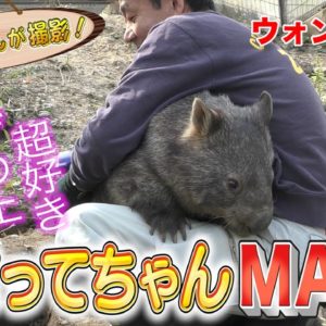 隣に座る熊 / bear sits next to guy