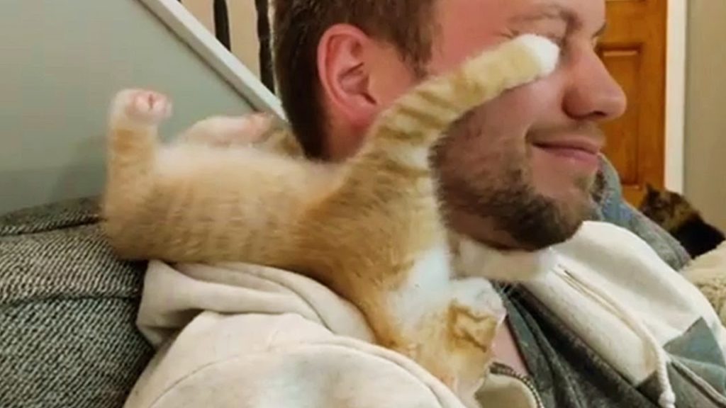 【YouTube】飼い主にじゃれつく子猫 / Ginger Kitten Loves His Foster Dad